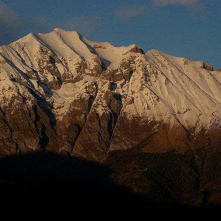 Catif Ladru Bed & Breakfast Cerveno Eksteriør bilde