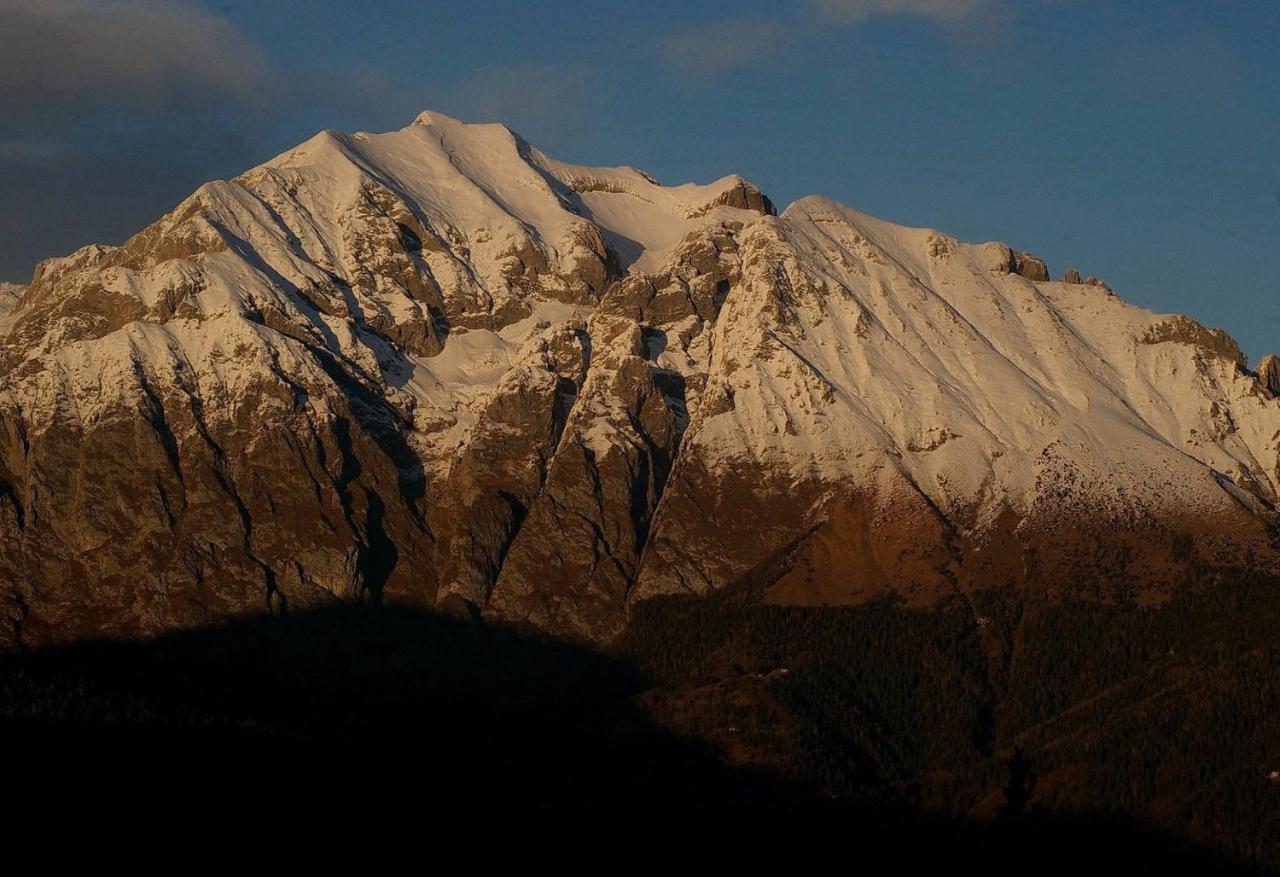 Catif Ladru Bed & Breakfast Cerveno Eksteriør bilde